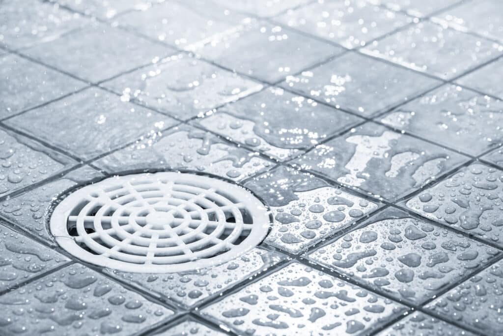 Why Does My Shower Drain Smell?